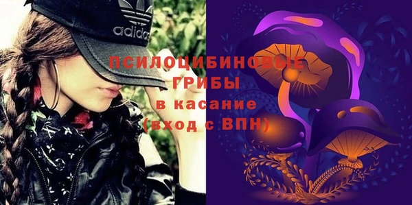 прущая мука Абаза