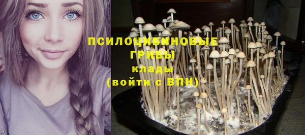 прущая мука Абаза